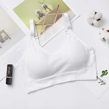Japanese-style Bear Vest Boob Tube Top Sports Shock-resistant Deconstructable Chest Pad Push up Vest Style WOMEN'S Underwear Bea
Japanese-style Bear Vest Boob Tube Top Sports Shock-resistant Deconstructable Chest Pad Push up Vest Style WOMEN'S Underwear Bea
