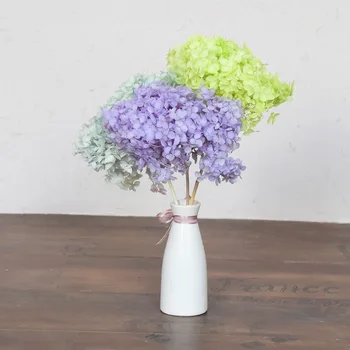 15CM Head,High Quality Preserved Hydrangea Bouquet,Nature Fresh Flower for Home Wedding party Decoration,Eternal rose gift box
15CM Head,High Quality Preserved Hydrangea Bouquet,Nature Fresh Flower for Home Wedding party Decoration,Eternal rose gift box