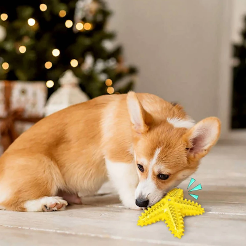 Starfish Pet Dog Molar Stick Food Grade Material Tooth Cleaning Pet Toys For Dog Pet Interactive Toys With Whistle For Dog
Starfish Pet Dog Molar Stick Food Grade Material Tooth Cleaning Pet Toys For Dog Pet Interactive Toys With Whistle For Dog