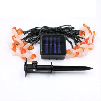 Solar Bee Light String Garden Outdoor Waterproof Decorative Light Lantern Led Star Light
Solar Bee Light String Garden Outdoor Waterproof Decorative Light Lantern Led Star Light