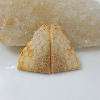 Natural Indonesian Fossil Coral Jewelry Accessories Fashion Earring Bead, 41x26x5mm,16.1g
Natural Indonesian Fossil Coral Jewelry Accessories Fashion Earring Bead, 41x26x5mm,16.1g