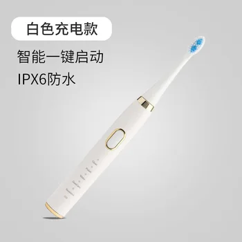 

cai pai Wholesale Electric Toothbrush Gift Boxed USB Rechargeable Ultrasonic Toothbrush Adult Children Students General