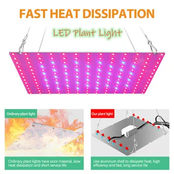 1Pcs Bare Board Full Spectrum Indoor LED Grow Lamp For Plant Growing Light Tent Waterproof Strip Greenhouse Hydroponic Lamp
1Pcs Bare Board Full Spectrum Indoor LED Grow Lamp For Plant Growing Light Tent Waterproof Strip Greenhouse Hydroponic Lamp