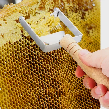 Multi-functional Fork Scraper Shovel Stainless Steel Bee Hive Uncapping Honey with Handle Beekeeper Tool Apiculture Accessories
Multi-functional Fork Scraper Shovel Stainless Steel Bee Hive Uncapping Honey with Handle Beekeeper Tool Apiculture Accessories