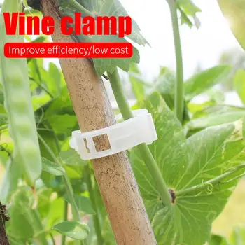 White Tomato Clips Plant Clip New Gadget Useful Fixed Fashion Drop Shipping
White Tomato Clips Plant Clip New Gadget Useful Fixed Fashion Drop Shipping