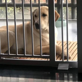 Fir Tree Solid Wood Moisture-proof Cold-proof Dehumidify Dog Cage Board Dog Bed Mat Heatstroke Prevention Pet Mats Reduce Heat
Fir Tree Solid Wood Moisture-proof Cold-proof Dehumidify Dog Cage Board Dog Bed Mat Heatstroke Prevention Pet Mats Reduce Heat