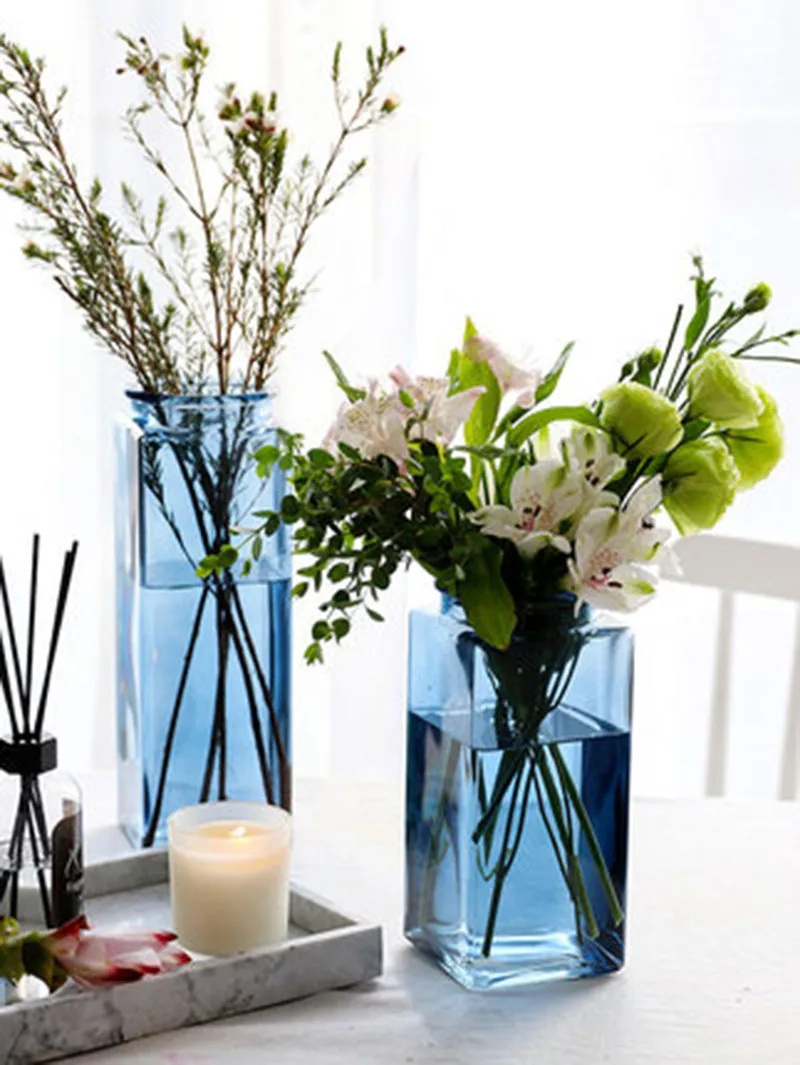 Simple Square Glass Vase Ins Transparent Nordic Hydroponic Bottle Decoration Flower Arrangement Living Room Colored Dried Flower
Simple Square Glass Vase Ins Transparent Nordic Hydroponic Bottle Decoration Flower Arrangement Living Room Colored Dried Flower