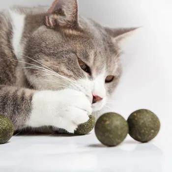 pet cat toy mint ball cleaning tooth Portable Made from catnip natural and edible and snacks Healthy funny Products supplies
pet cat toy mint ball cleaning tooth Portable Made from catnip natural and edible and snacks Healthy funny Products supplies