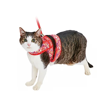 Beautiful Fashion Cat Collar Safety Colorful Breakaway Cat Collar Personalized Elastic Collar Para Gato Pet Accessories YY50CC
Beautiful Fashion Cat Collar Safety Colorful Breakaway Cat Collar Personalized Elastic Collar Para Gato Pet Accessories YY50CC
