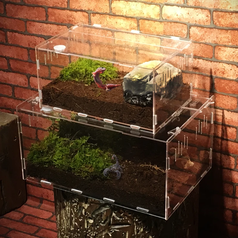 Acrylic Reptile Snake Spider Lizard Scorpion Centipede Horned Frog Gecko Beetle Insect Breeding Box
Acrylic Reptile Snake Spider Lizard Scorpion Centipede Horned Frog Gecko Beetle Insect Breeding Box