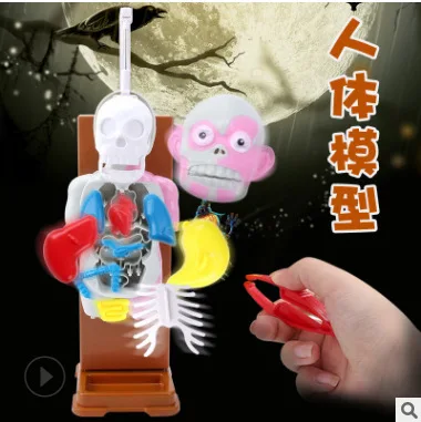 Taiwan New Style Educational Toy Tabletop Game Genuine 4D MASTER Assembled Model Mannequin
Taiwan New Style Educational Toy Tabletop Game Genuine 4D MASTER Assembled Model Mannequin