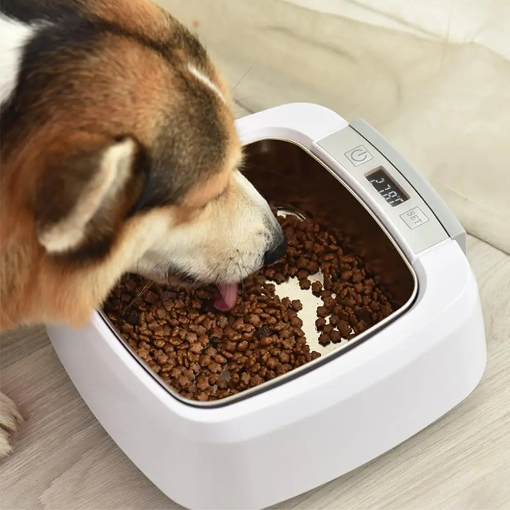 Pet Dogs Heated Feeder Indoor Smart Water Bowl Outdoor Square Eating Drinking Safe Anti-microbial Thermal Feeding Heating Device
Pet Dogs Heated Feeder Indoor Smart Water Bowl Outdoor Square Eating Drinking Safe Anti-microbial Thermal Feeding Heating Device