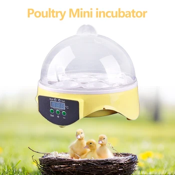 Mini 7 Egg Incubator Poultry Incubator Brooder Digital Temperature Hatchery Egg Incubator Hatcher Chicken Duck Bird Pigeon
Mini 7 Egg Incubator Poultry Incubator Brooder Digital Temperature Hatchery Egg Incubator Hatcher Chicken Duck Bird Pigeon