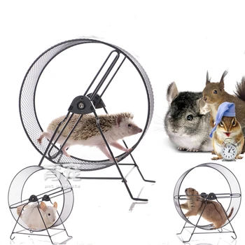 Metal silent running wheel 25cm dragon cat hedgehog not stuck squirrel oversized 32cm earth dial rat
Metal silent running wheel 25cm dragon cat hedgehog not stuck squirrel oversized 32cm earth dial rat