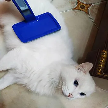 Rake Massage Grooming Tools Pet Cats Dogs Hair Removal Brushes Fur Hair Soft Combs Manual Push Button Self Cleaning Pets
Rake Massage Grooming Tools Pet Cats Dogs Hair Removal Brushes Fur Hair Soft Combs Manual Push Button Self Cleaning Pets