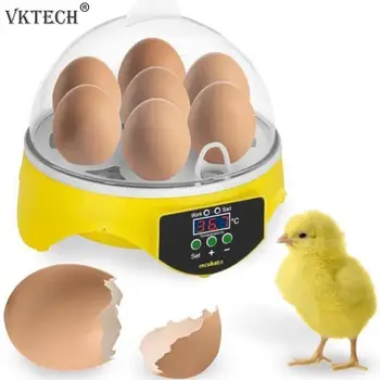 7 Eggs Chicken Bird Incubator Eggs Hatching Machine Automatic Intelligent Temperature Control Quail Parrot Brooder Farm Supplies
7 Eggs Chicken Bird Incubator Eggs Hatching Machine Automatic Intelligent Temperature Control Quail Parrot Brooder Farm Supplies
