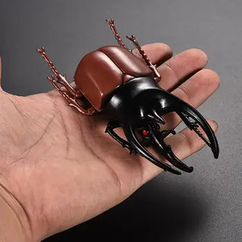 6Pcs Realistic Insect Models Simulation Beetle Model Jokes Toy Educational Toy Halloween Scary Gag Party Fun Novelty Prank Props
6Pcs Realistic Insect Models Simulation Beetle Model Jokes Toy Educational Toy Halloween Scary Gag Party Fun Novelty Prank Props