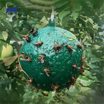 Effective Fruit Flies Killer Hanging Fly Trap Ball Fruit Fly Catcher Sticky Trap Fly Outdoor Garden Disposable Wasp Bee Dropship
Effective Fruit Flies Killer Hanging Fly Trap Ball Fruit Fly Catcher Sticky Trap Fly Outdoor Garden Disposable Wasp Bee Dropship