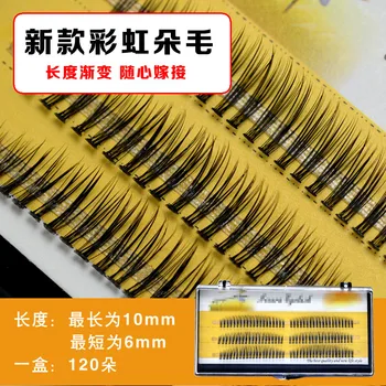 Rainbow Prefabricated Sector Grafted False Eyelashes A Cluster of Dog Tail Long Gradual Mixed Eyelashes
Rainbow Prefabricated Sector Grafted False Eyelashes A Cluster of Dog Tail Long Gradual Mixed Eyelashes