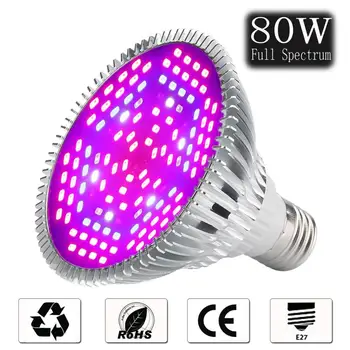 10pcs Par38 E27 LED Grow Light Full Spectrum 30W/50W/80W UV LED Grow Plant Bulb for Indoor Hydroponics Flowers Phytolamps
10pcs Par38 E27 LED Grow Light Full Spectrum 30W/50W/80W UV LED Grow Plant Bulb for Indoor Hydroponics Flowers Phytolamps