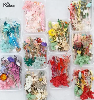 Meldel 1 Box Mix Real Fresh Dried Flower Natural Floral Art Craft Scrapbooking Resin Jewelry Craft Making Epoxy Mold DIY Filling
Meldel 1 Box Mix Real Fresh Dried Flower Natural Floral Art Craft Scrapbooking Resin Jewelry Craft Making Epoxy Mold DIY Filling