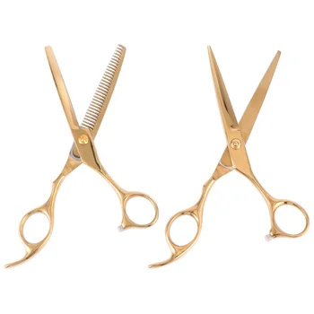 2pcs Stainless Steel Hairdressing Scissors Set Barber Scissors Hair Cutting Tools (Golden)
2pcs Stainless Steel Hairdressing Scissors Set Barber Scissors Hair Cutting Tools (Golden)