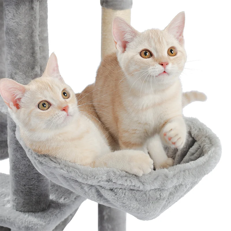 Hcbd9775f67fe4bdc923332d214e16050u