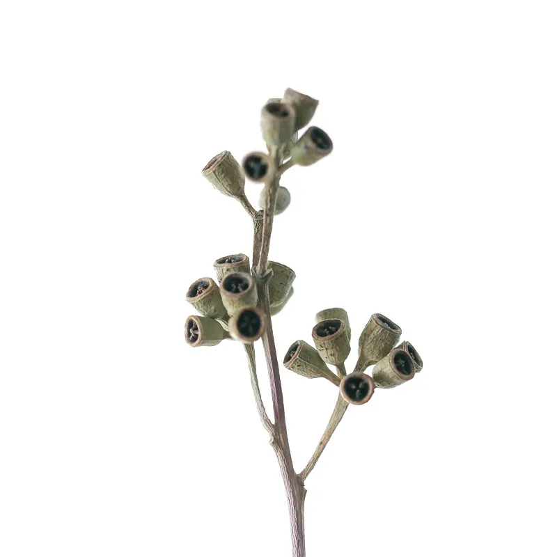 7 стеблей натуральный Эвкалиптовый фрукт оригинальные экологические сухоцветы домашний свадебный Декор Цветы Цветочная композиция
7 стеблей натуральный Эвкалиптовый фрукт оригинальные экологические сухоцветы домашний свадебный Декор Цветы Цветочная композиция