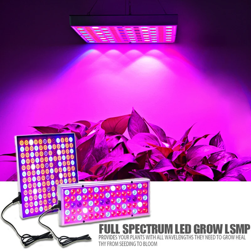 Led Grow Light Tent Box Phyto Lamp 225leds Quantum Board Waterproof Growth Full Spectrum Lighting for Indoor Uv Lamp for Plants
Led Grow Light Tent Box Phyto Lamp 225leds Quantum Board Waterproof Growth Full Spectrum Lighting for Indoor Uv Lamp for Plants
