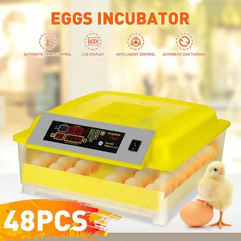 Farm Hatchery Incubator Brooder Machine Automatic Chicken Egg Incubator Hatchery Equipment 48 Eggs Intelligent PID Incubator
Farm Hatchery Incubator Brooder Machine Automatic Chicken Egg Incubator Hatchery Equipment 48 Eggs Intelligent PID Incubator