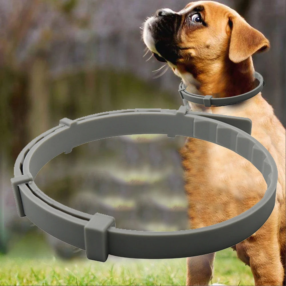 2020 New Pet Products New Insect Repellent Anti-flea Collar Cats and Dogs Flea Collar Aluminum Box
2020 New Pet Products New Insect Repellent Anti-flea Collar Cats and Dogs Flea Collar Aluminum Box