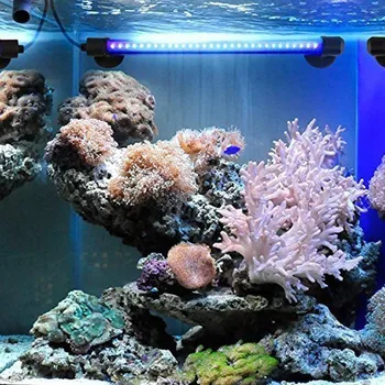48cm 57LEDs EU Plug Submersible Aquarium Light Waterproof Flood Lights Fish Tank Aquarium Lights Underwater Strip Lights
48cm 57LEDs EU Plug Submersible Aquarium Light Waterproof Flood Lights Fish Tank Aquarium Lights Underwater Strip Lights