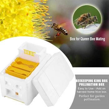 Bee Hive Beekeeping King Box Pollination Box Foam Frames Beekeeping Tool Kit for Garden Pollination
Bee Hive Beekeeping King Box Pollination Box Foam Frames Beekeeping Tool Kit for Garden Pollination