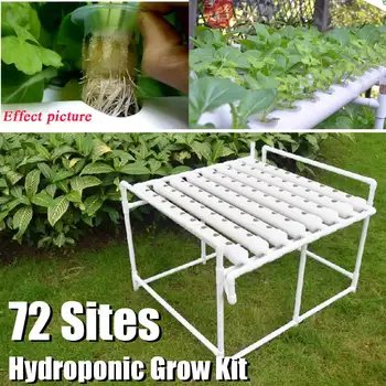 Hydroponic System Pots to Grow Kit Equipment Garden Vegetables Planting Box 72 Sites Hydroponic Rack Holder Soilless Seedling
Hydroponic System Pots to Grow Kit Equipment Garden Vegetables Planting Box 72 Sites Hydroponic Rack Holder Soilless Seedling
