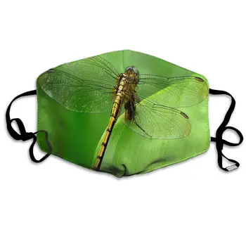 Face Mask Dragonfly Wallpaper Marvellous Cycling Half Face Earloop Ski Mask for Boys
Face Mask Dragonfly Wallpaper Marvellous Cycling Half Face Earloop Ski Mask for Boys