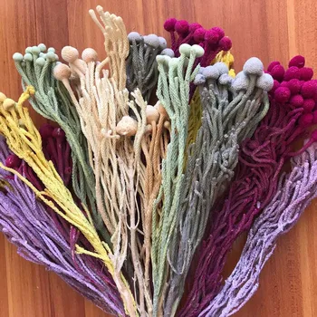 20-30CM/1-2CM Head,4PCS Real Natural Dried Plants Mini Fruit,Decorative Dry Flowers For Home Decor,Weddding Decorations
20-30CM/1-2CM Head,4PCS Real Natural Dried Plants Mini Fruit,Decorative Dry Flowers For Home Decor,Weddding Decorations
