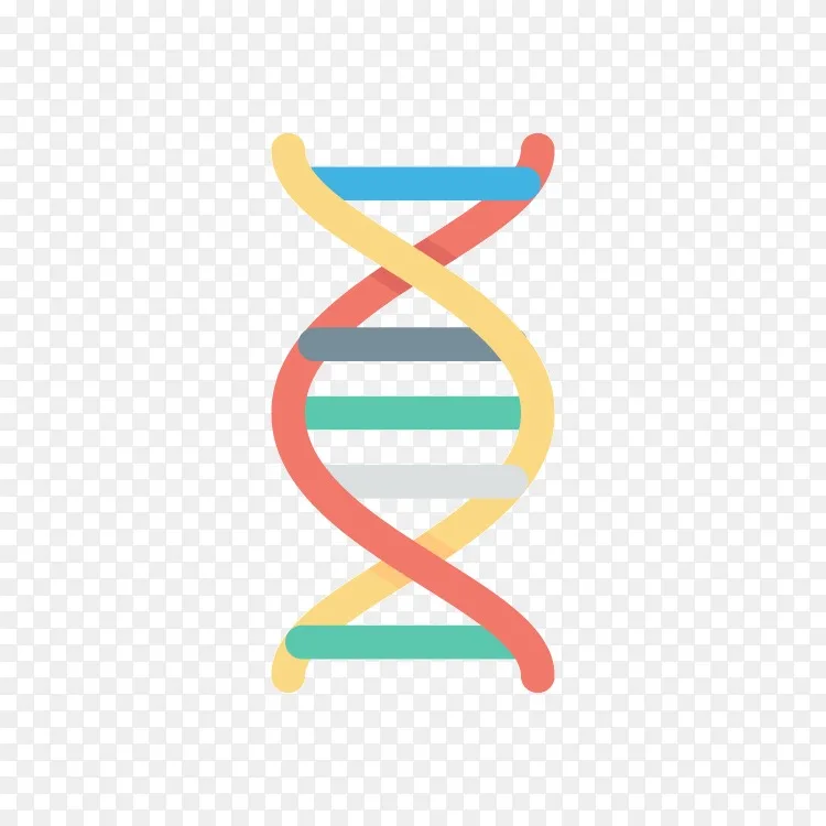 双螺旋 dna核酸双螺旋遗传学发现的个人说明 不符合社会道德 png图片素材免费下载 图片编号1799789 png素材网