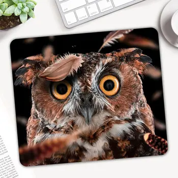 Hot Sale Animal Owl Small Size 30x25x0.2cm Pc Tablet Gamer Computer Laptop Mause Mouse Pad Mousepad Mice Mat Decorate Your Desk
Hot Sale Animal Owl Small Size 30x25x0.2cm Pc Tablet Gamer Computer Laptop Mause Mouse Pad Mousepad Mice Mat Decorate Your Desk