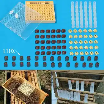 Beekeeping Queen Rearing Cupkit Box 110x Brown Cell Cups System Cupularve Tools Bee Keeper Tools Apiculture Supplier
Beekeeping Queen Rearing Cupkit Box 110x Brown Cell Cups System Cupularve Tools Bee Keeper Tools Apiculture Supplier