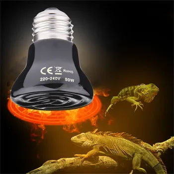 Far-Infrared Pet Heating Lamp Khan Steam Ceramic Heating Lamp
Far-Infrared Pet Heating Lamp Khan Steam Ceramic Heating Lamp