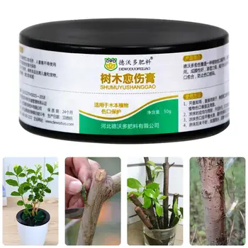 Tree Wound Bonsai Pruning Cutting Paste Tree Pruning Sealer Pruning Compound For Garden Plant Grafting Treatment
Tree Wound Bonsai Pruning Cutting Paste Tree Pruning Sealer Pruning Compound For Garden Plant Grafting Treatment