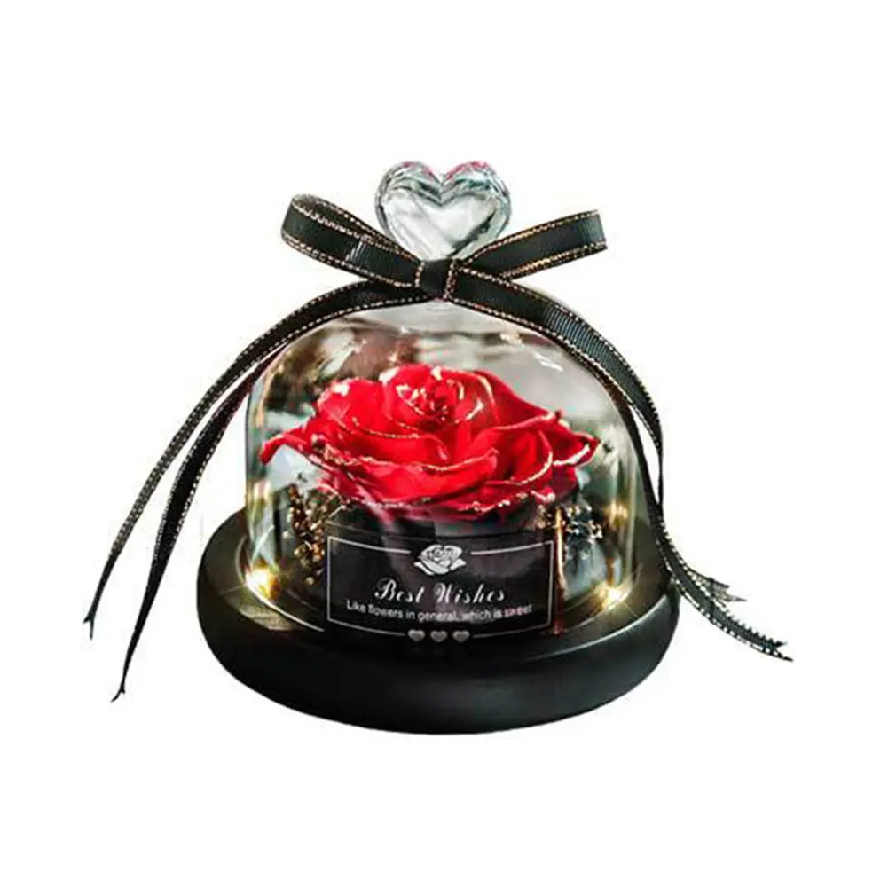 Preserved Rose In Flask Led Glass Dome Valentines Day Gift Christmas Present Real Rose Beauty And The Beast Mother'S Day Gift
Preserved Rose In Flask Led Glass Dome Valentines Day Gift Christmas Present Real Rose Beauty And The Beast Mother'S Day Gift