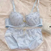 

French Sexy Bra And Panties Bralette Set Cute Underwear Women Ethika Embroidery Floral Lingerie Push Up Bras Panty Blue White