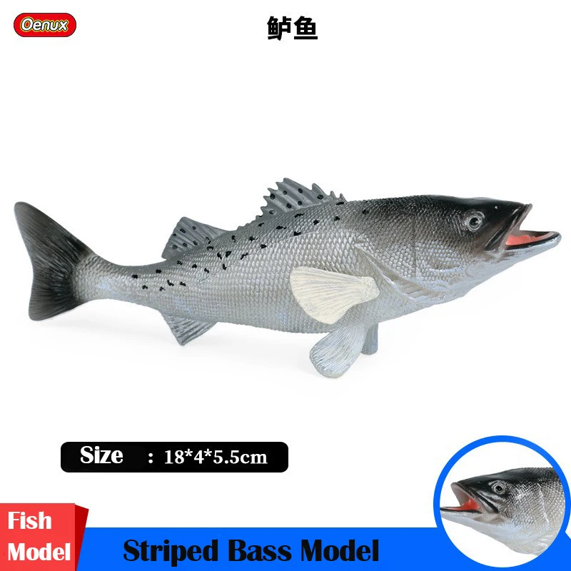 Simulation Striped Bass Model Plastic Solid Simulated Sea Fish Animals Hand Model Educational Toys Christmas Gift For Children
Simulation Striped Bass Model Plastic Solid Simulated Sea Fish Animals Hand Model Educational Toys Christmas Gift For Children