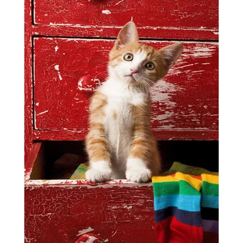 DIY Painting By Numbers Cat Drawer Kit Oil Picture By Numbers Animals Wall Art Painting on Canvas Home Decoration Gift
DIY Painting By Numbers Cat Drawer Kit Oil Picture By Numbers Animals Wall Art Painting on Canvas Home Decoration Gift