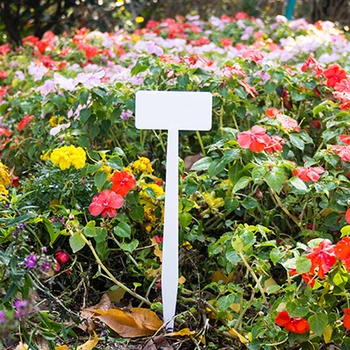5PCS T-type Plastic Plants Labels Flowerpot Nursery Marker Tag For Garden Ornaments Decor Gardening Tool Accessories 
5PCS T-type Plastic Plants Labels Flowerpot Nursery Marker Tag For Garden Ornaments Decor Gardening Tool Accessories