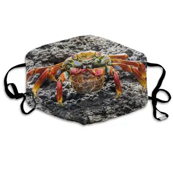 Mouth Mask For Daily Dress Up, Big Crab Anti-dust Mouth-Muffle, Washable Reusable Holiday Half Face Masks For Mens And Womens
Mouth Mask For Daily Dress Up, Big Crab Anti-dust Mouth-Muffle, Washable Reusable Holiday Half Face Masks For Mens And Womens