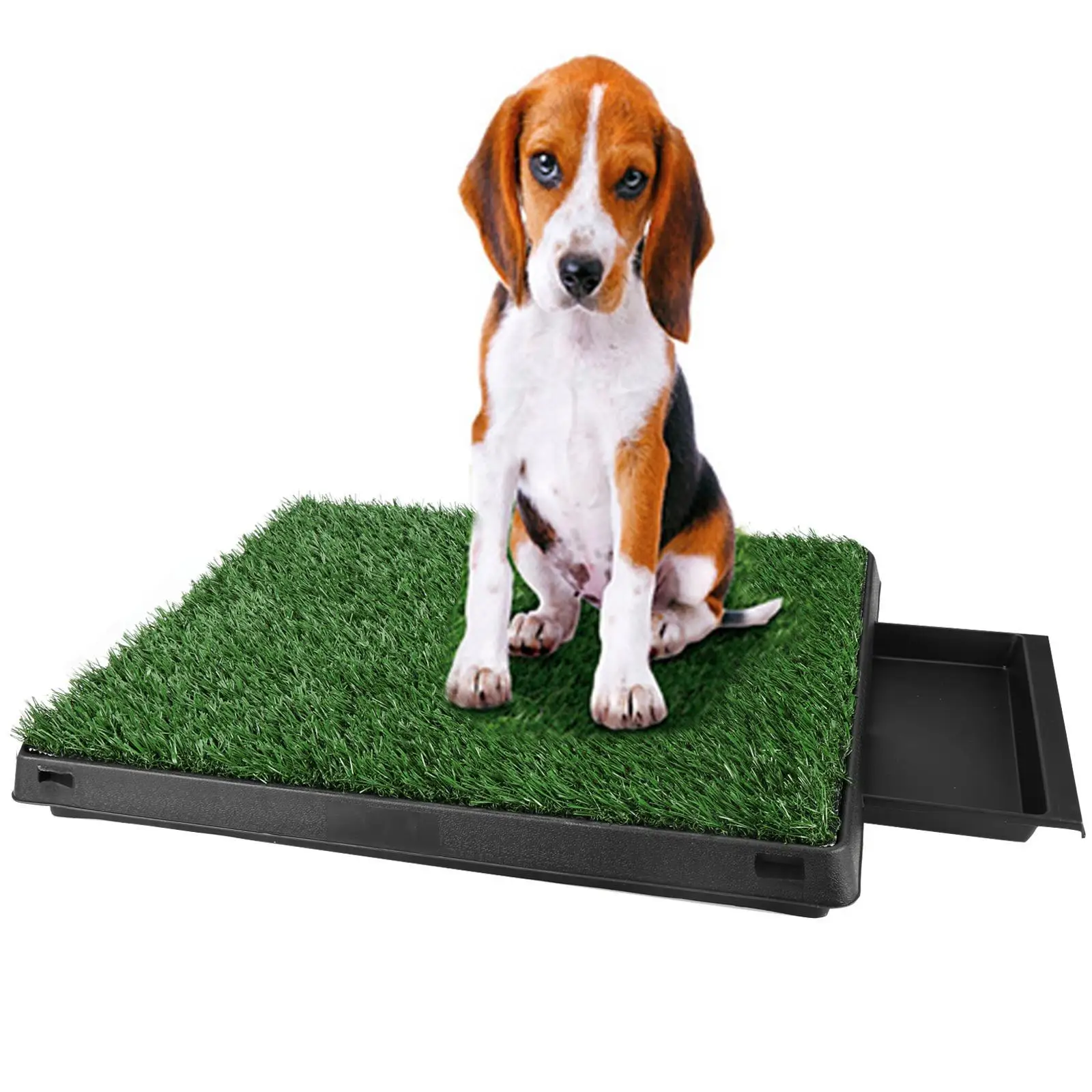 Pets Training tray Toilet Mat Dog Cats Supplies Potty Pad Cat Tray Toilet Urinary Trainer Grass Mat Pee Pad Bathroom Home Decor
Pets Training tray Toilet Mat Dog Cats Supplies Potty Pad Cat Tray Toilet Urinary Trainer Grass Mat Pee Pad Bathroom Home Decor