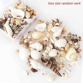 Natural Conch Shells Mini Conch Corn Screw Wall Decoration DIY Aquarium Landscape Seashells Crafts/party Decor About 30-40g
Natural Conch Shells Mini Conch Corn Screw Wall Decoration DIY Aquarium Landscape Seashells Crafts/party Decor About 30-40g
