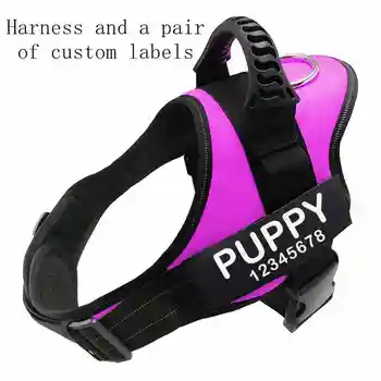 Reflective Dog Harness Dog Collar K9 Vest Customizable Luminous Blue Labels with Custom Labels Sticker Dogs Pet Supplies Drops
Reflective Dog Harness Dog Collar K9 Vest Customizable Luminous Blue Labels with Custom Labels Sticker Dogs Pet Supplies Drops